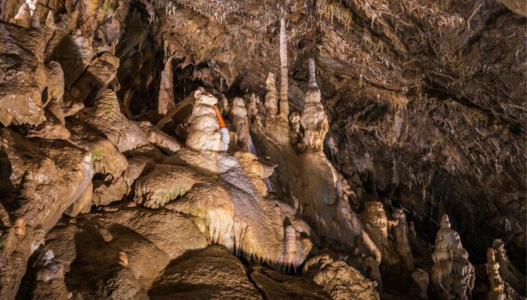 Grotte di Toirano: dove si trovano e come visitarle