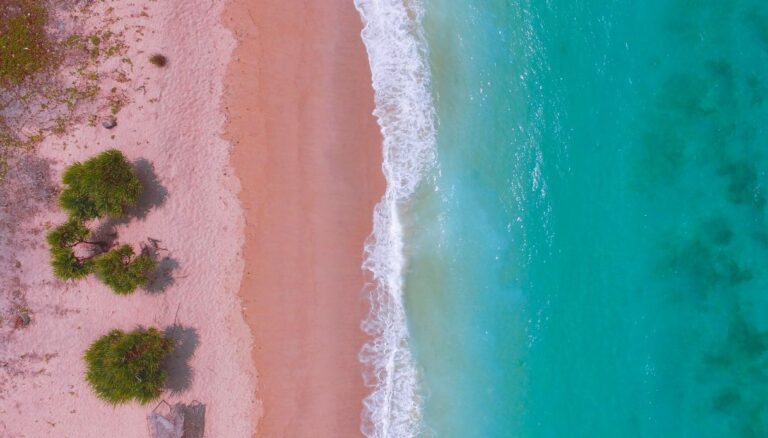 Spiagge rosa: le più belle in Italia