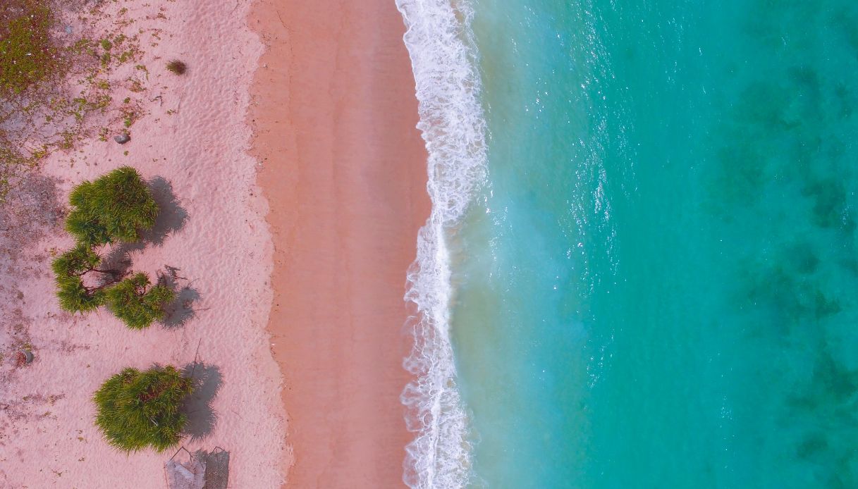 spiagge rosa italia